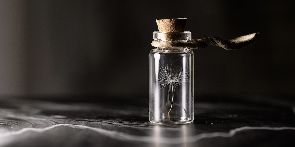 保存額装について