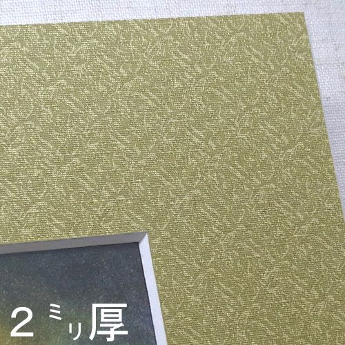 紙どんす草21216