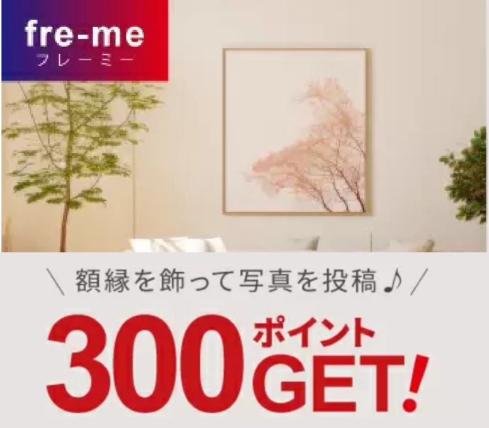 fra-me -フレーミー- 額縁を飾って写真投稿♪ 300ポイントGET!