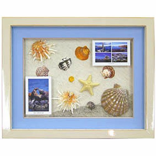 モルジブ 観光記念