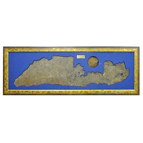 マンモス 皮膚と毛