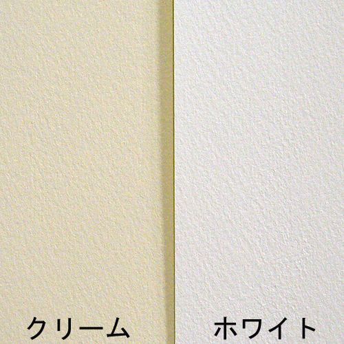 詳細画像2 水彩紙 ワトソンロール