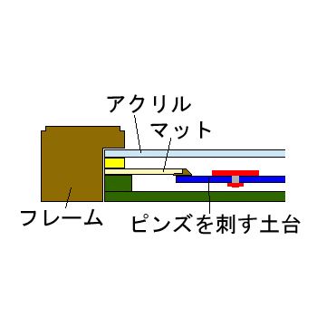 額装実例2 ピンバッジ額装 深型