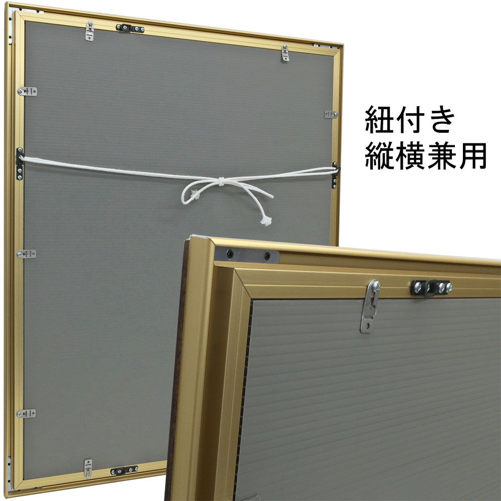 詳細画像6 一般額. SG-704P