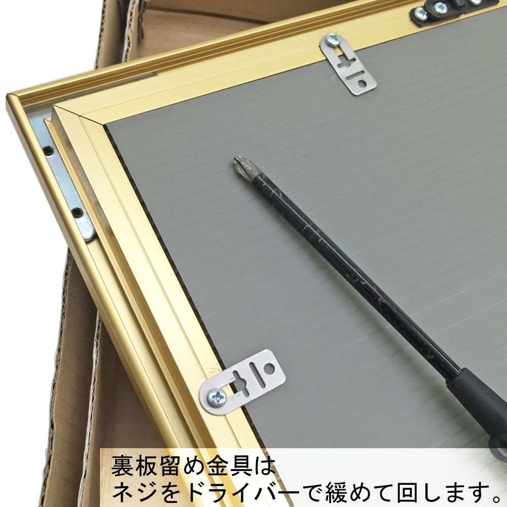 詳細画像7 一般額. SG-704P