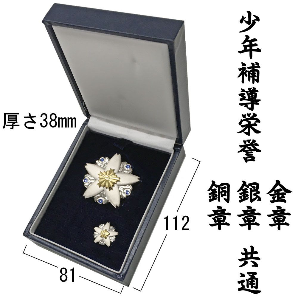 詳細画像5 少年補導栄誉章専用額 GT24