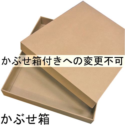 詳細画像9 ステインパネル ブルー