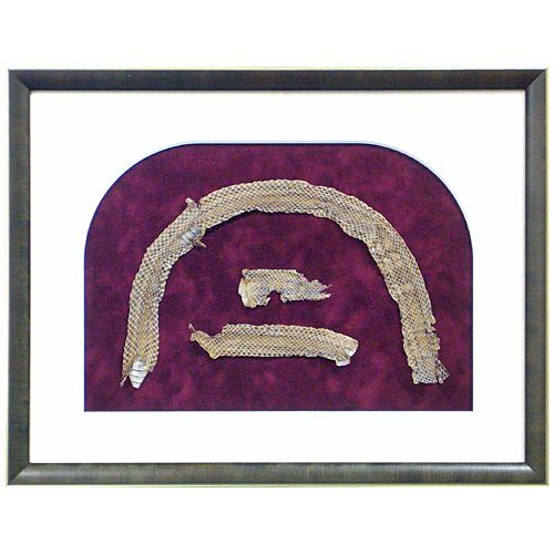 蛇の脱け殻 部分