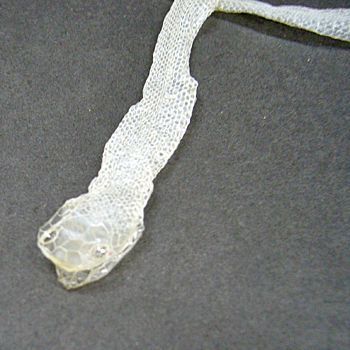 額装実例3 白蛇の脱け殻