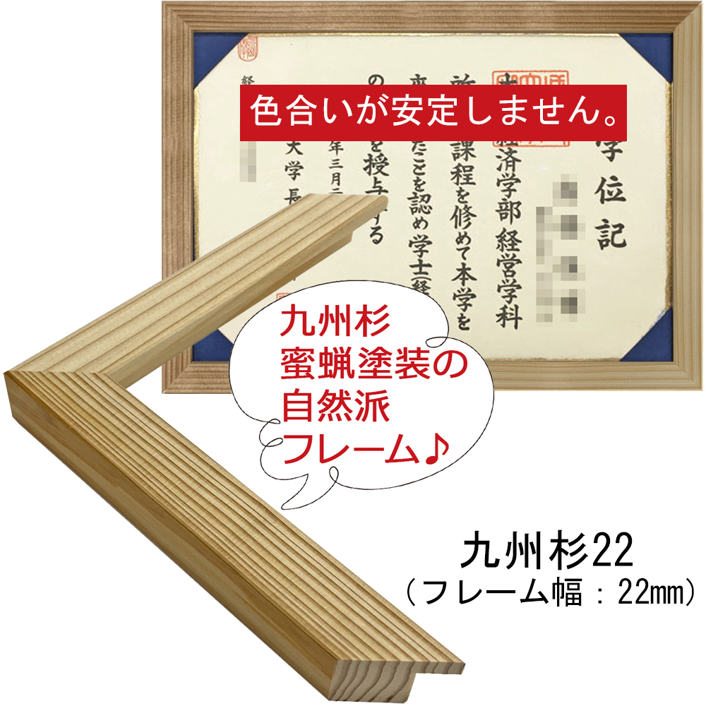 詳細画像4 背中合わせの学位ホルダー 専用額