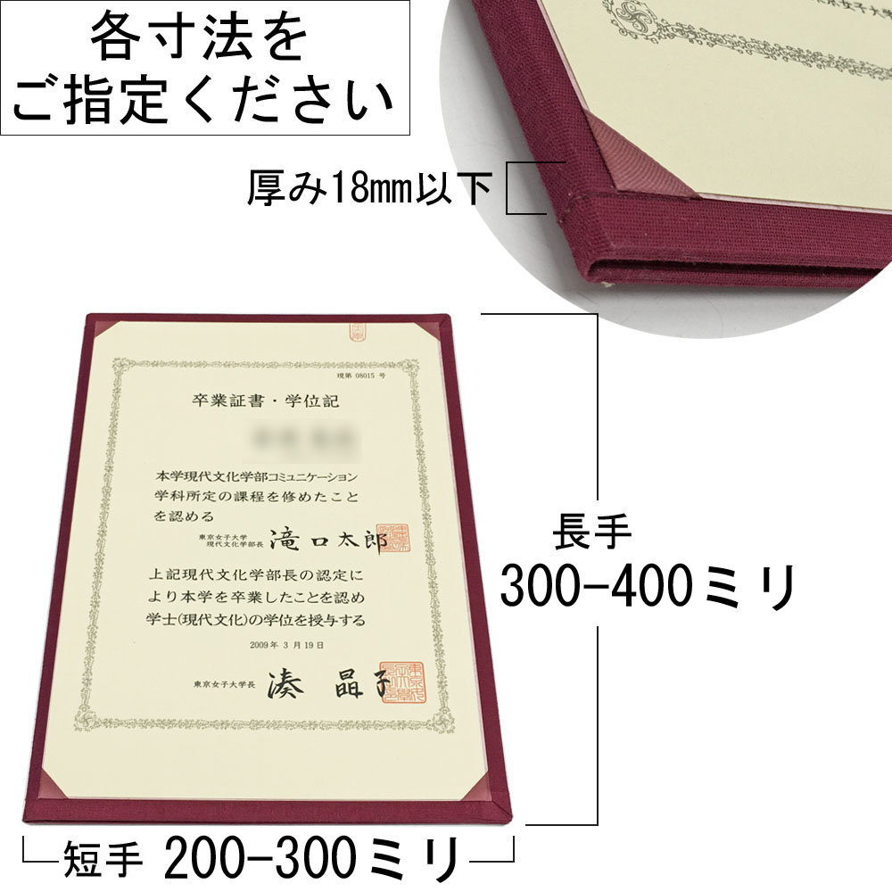 詳細画像7 背中合わせの学位ホルダー 専用額