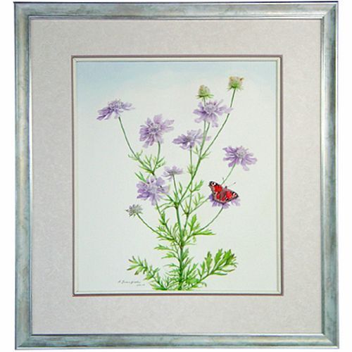 ボタニカルアート 植物画