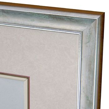 ボタニカルアート 植物画