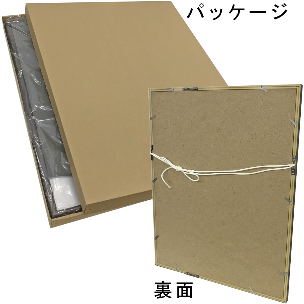 詳細画像9 ユニフォーム額 6700N