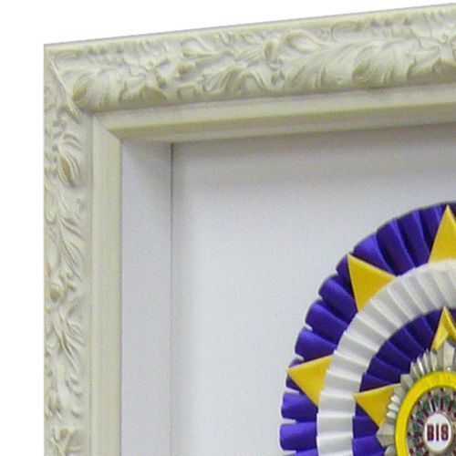 ドッグコンテスト