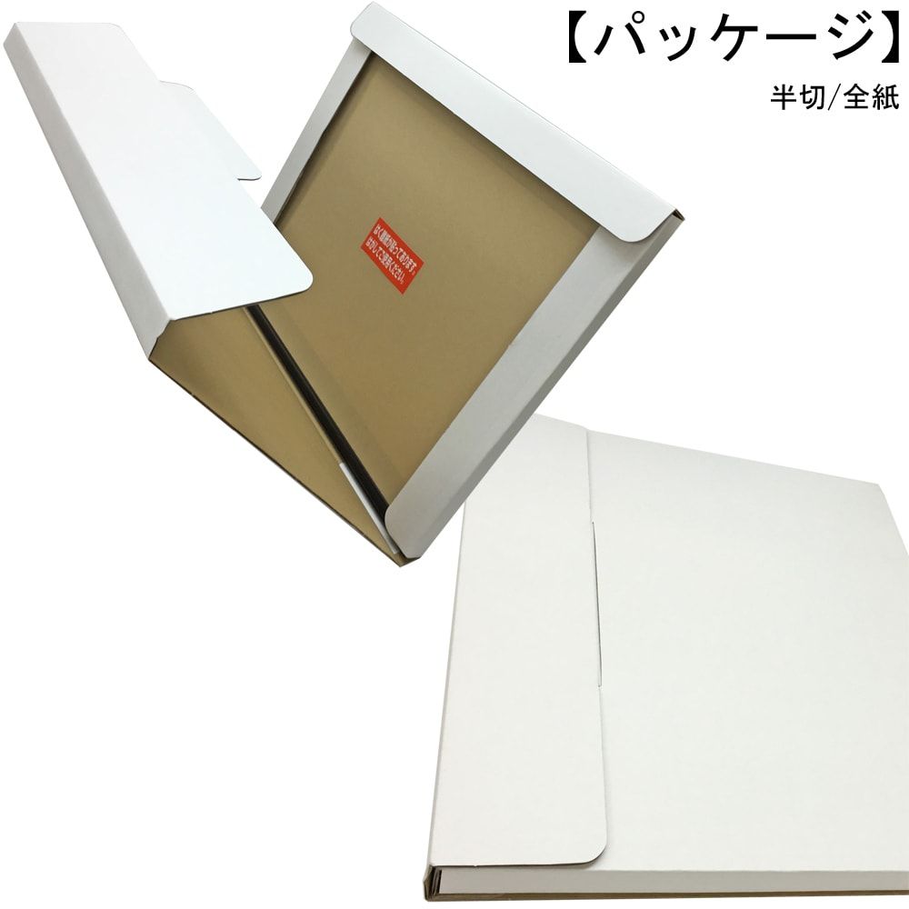 詳細画像9 写真額 AP-28