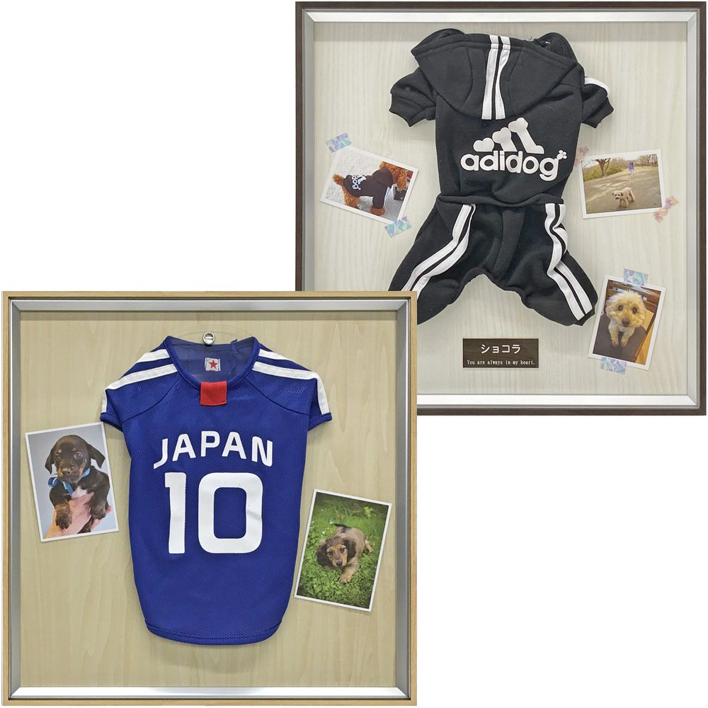 詳細画像 ペットメモリアル専用額