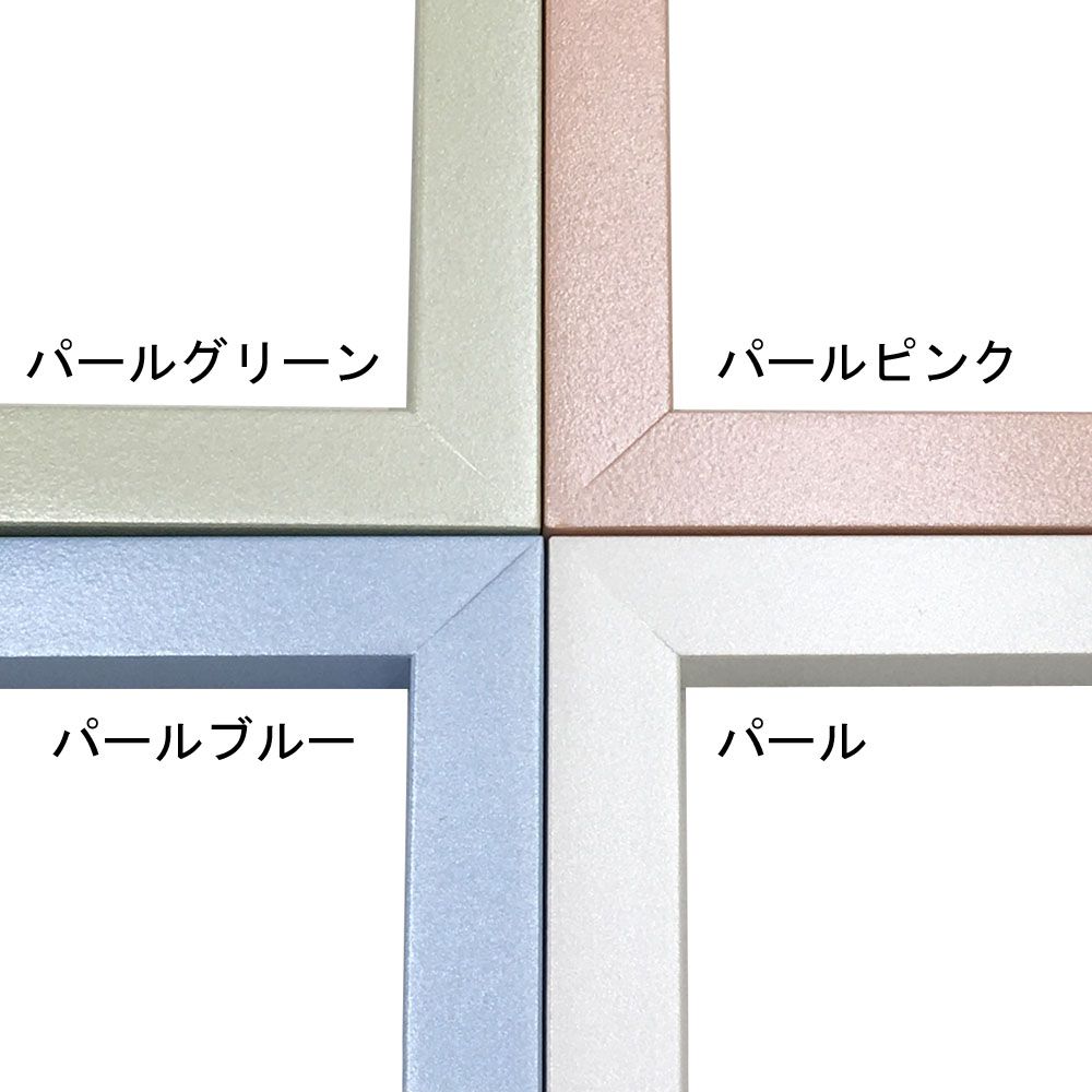 詳細画像2 色紙額 メモリアルフレーム