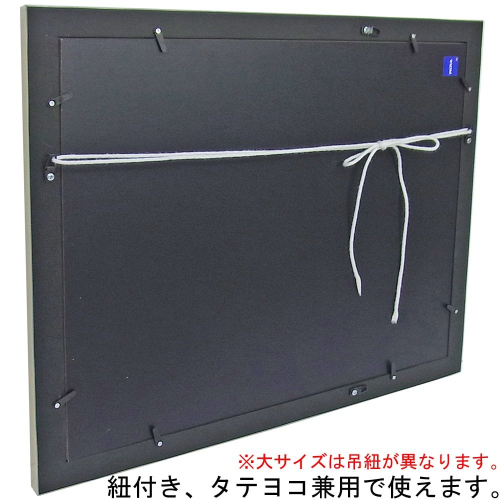 詳細画像8 一般額 MH-E10J