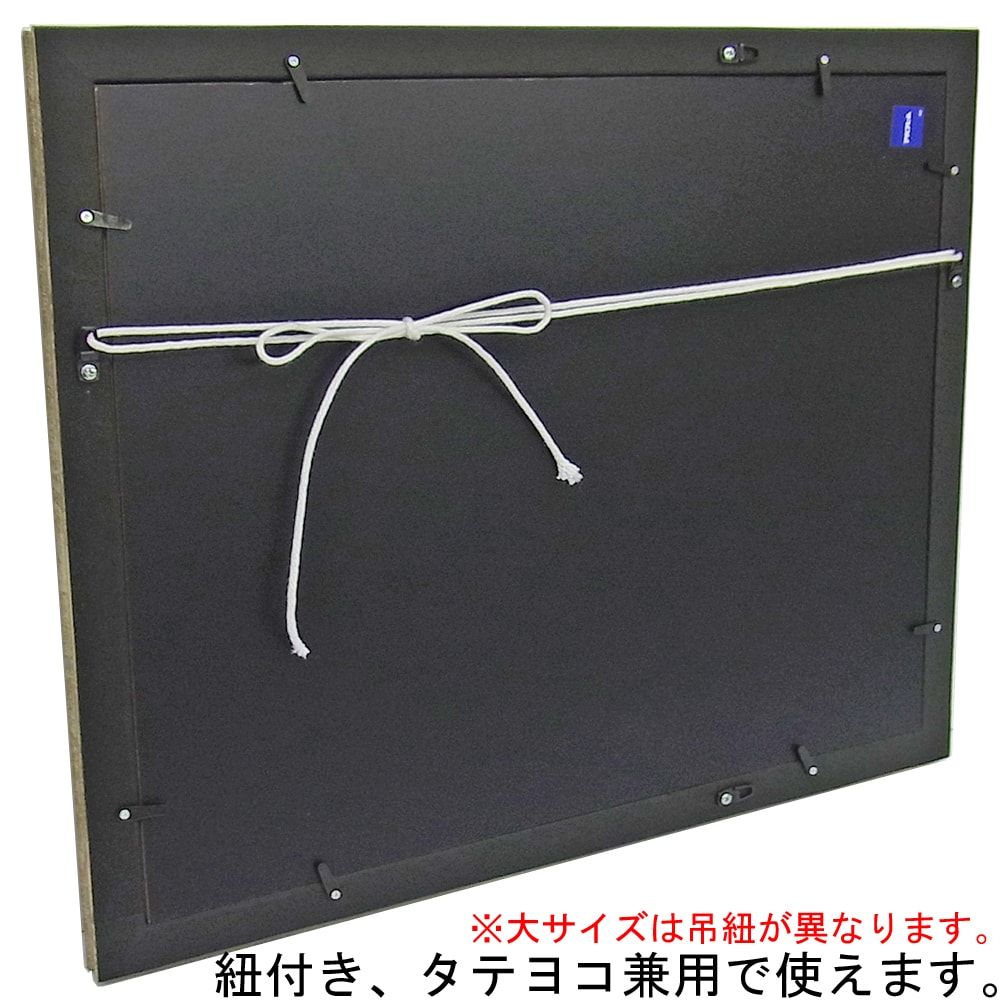 詳細画像8 一般額 MH-E19J