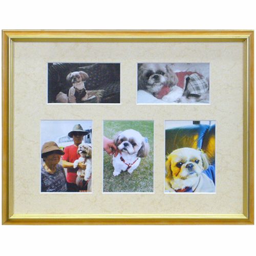 フォトメモリー 犬