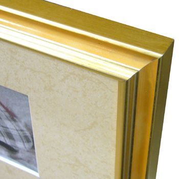 フォトメモリー 犬