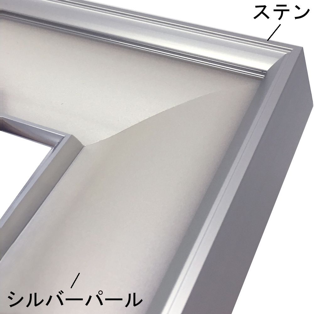 【美品:処分】F20 パールゴールド アクリル額縁 マット入り　紐付き 日本画額縁 GV-36 丸みを帯びたマット材が優しい印象を与える
