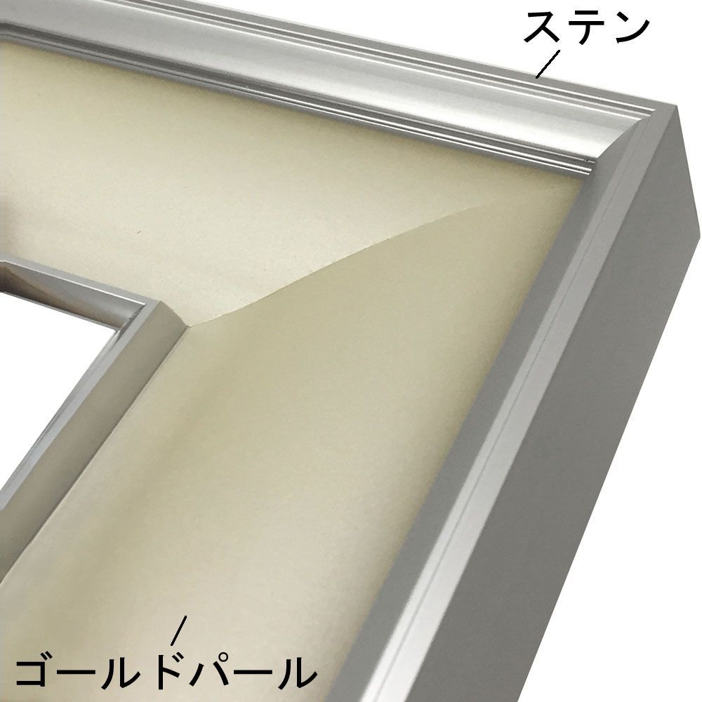 【美品:処分】F20 パールゴールド アクリル額縁 マット入り　紐付き 日本画額縁 GV-36 丸みを帯びたマット材が優しい印象を与える