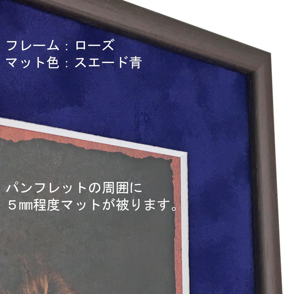 詳細画像4 映画パンフレット専用額