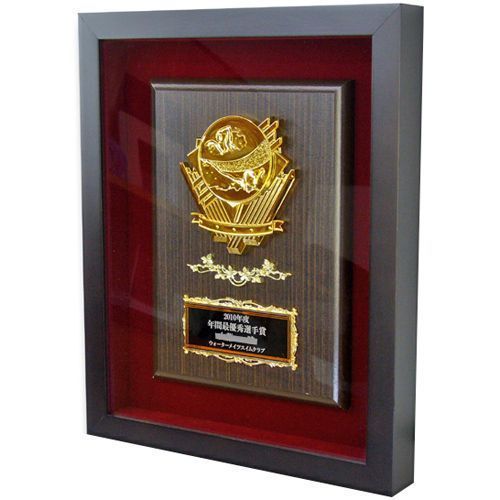 水泳教室優秀選手賞の盾