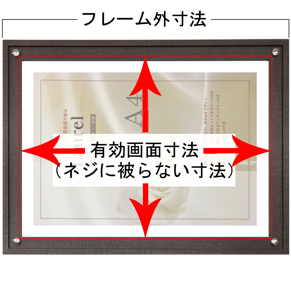 詳細画像5 ローレルスクエア P105