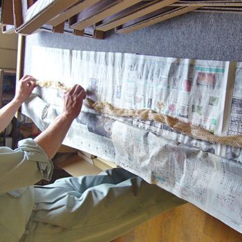 額装実例4 縁起物・蛇の抜け殻