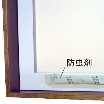 額装実例8 縁起物・蛇の抜け殻