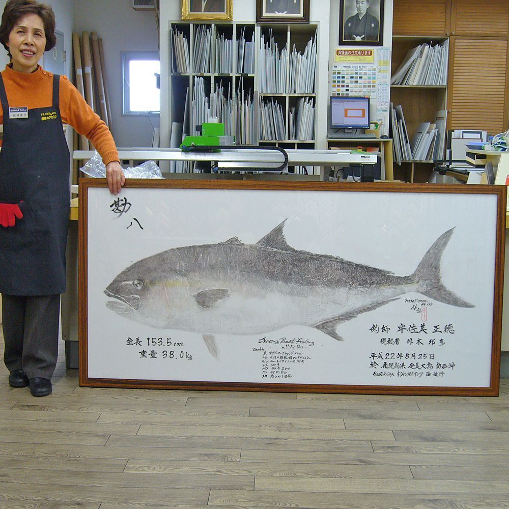特大の魚拓 カンパチ