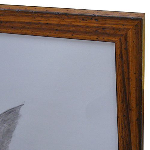 特大の魚拓 カンパチ