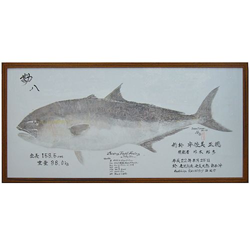 魚拓　勘八　カンパチ　特大 和歌山県で釣り上げられたカンパチのデジタル魚拓 | Re:Fish デジタル