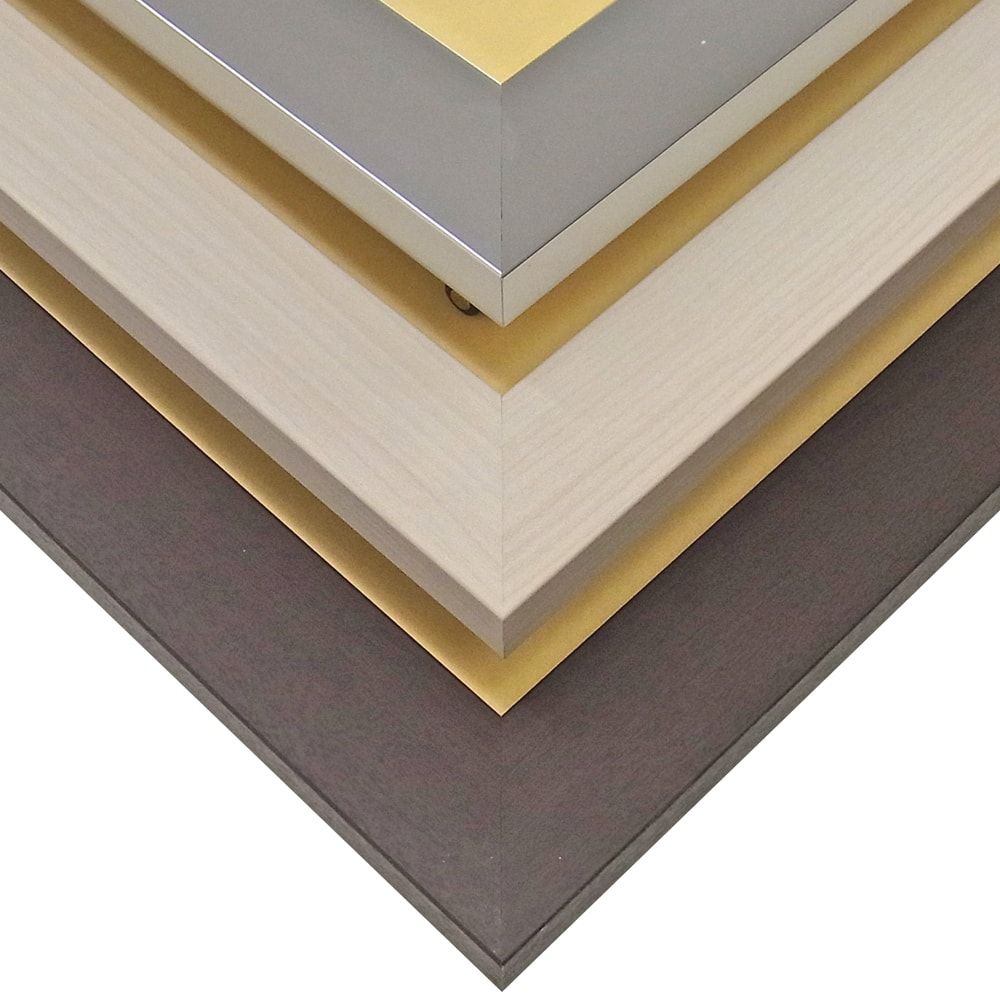 詳細画像4 一般額 SG-705P