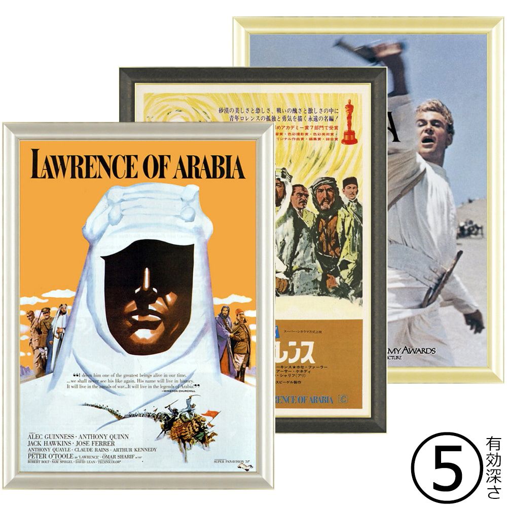 詳細画像 一般額 HVL