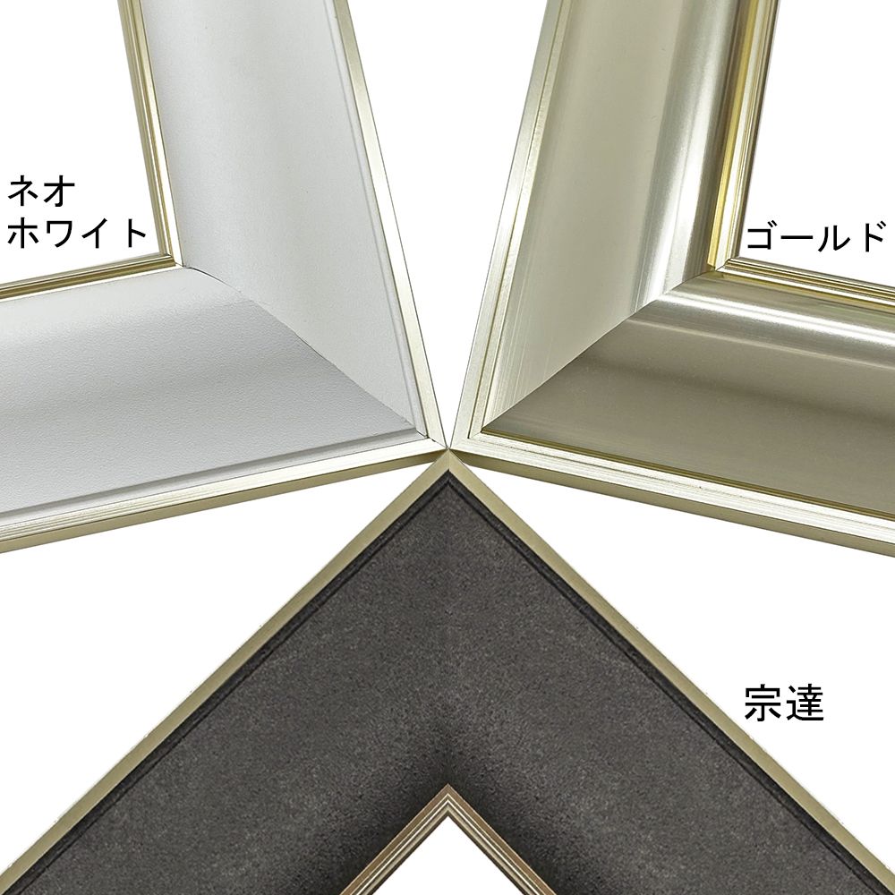 詳細画像2 一般額 HVL