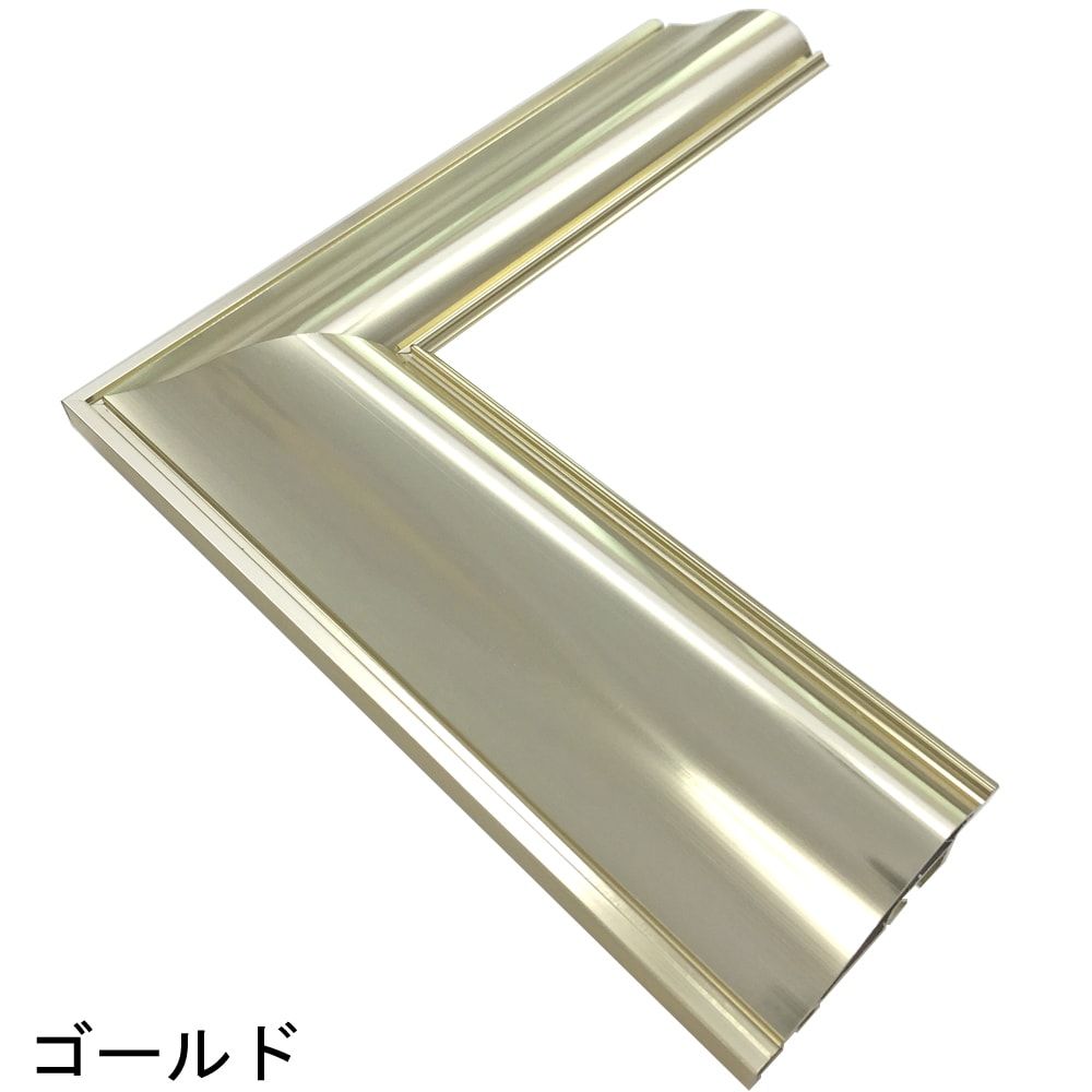 詳細画像6 一般額. HVL