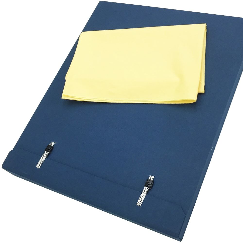 詳細画像 額縁用 たとう(黄袋付き)