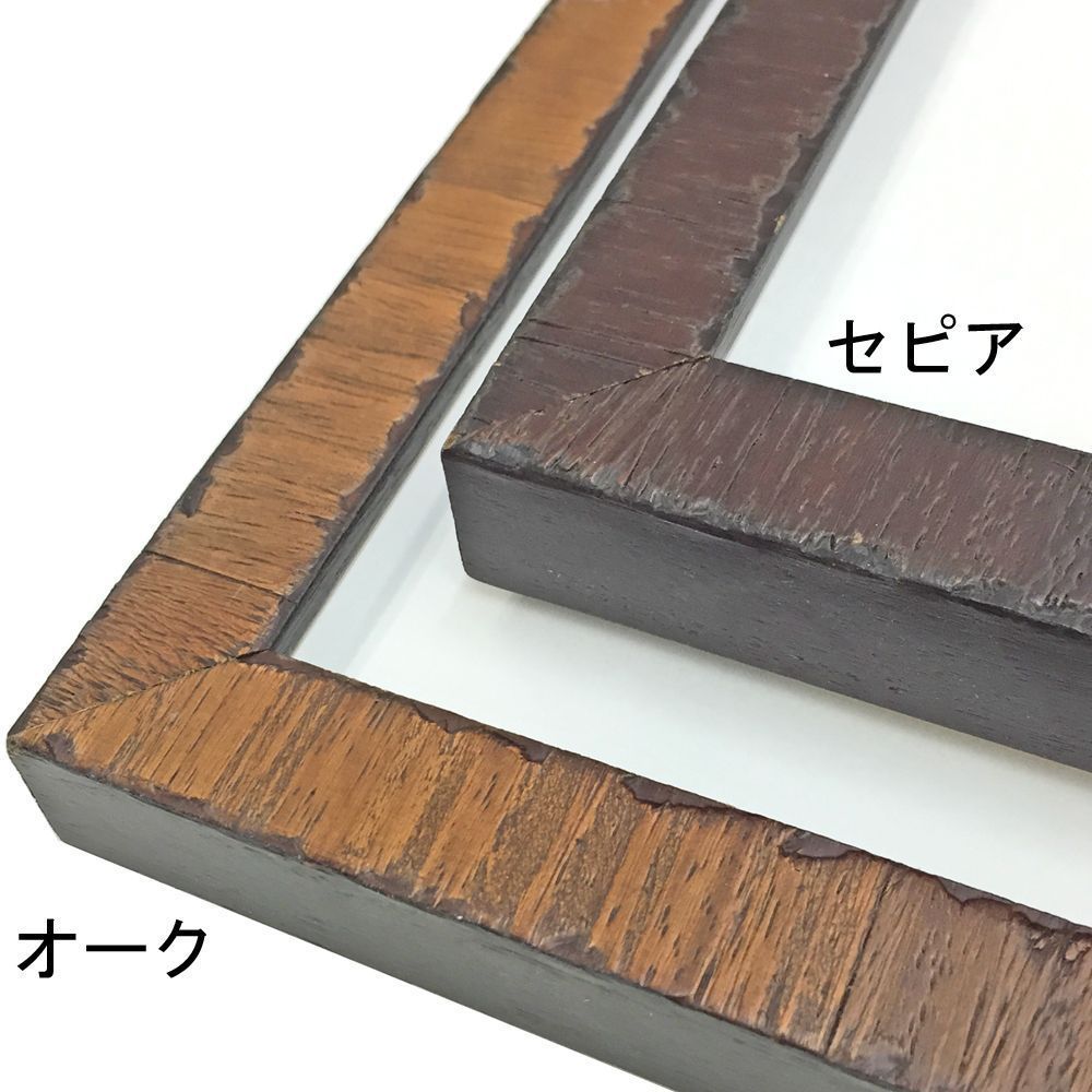 詳細画像2 一般額 カリマンタン