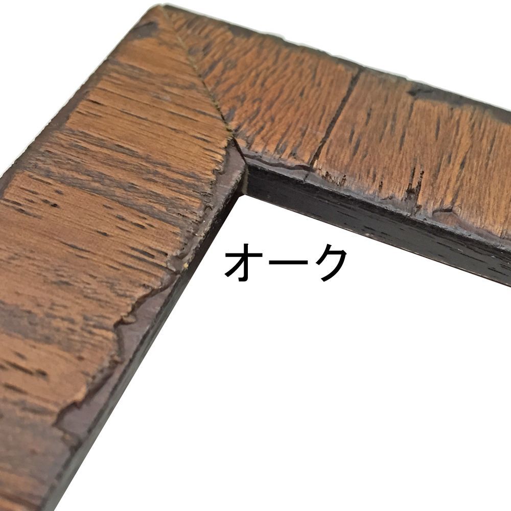 詳細画像5 一般額 カリマンタン