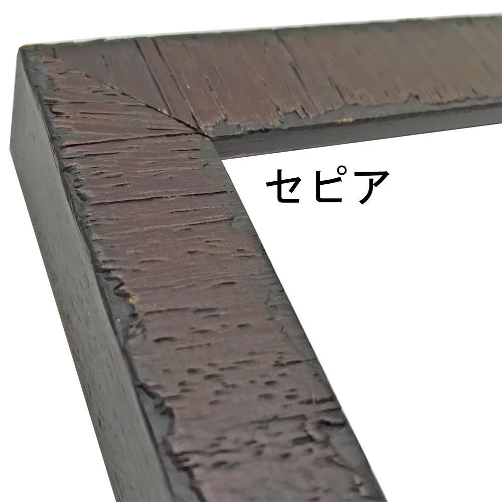 詳細画像6 一般額 カリマンタン