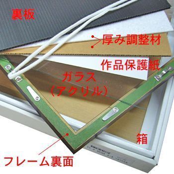 詳細画像7 一般額 カリマンタン