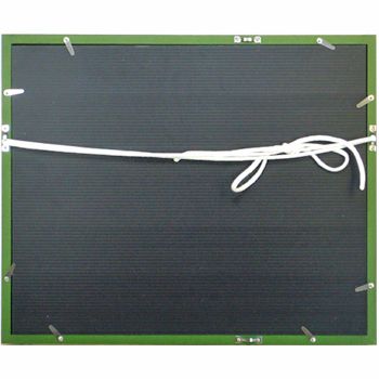 詳細画像8 一般額 カリマンタン