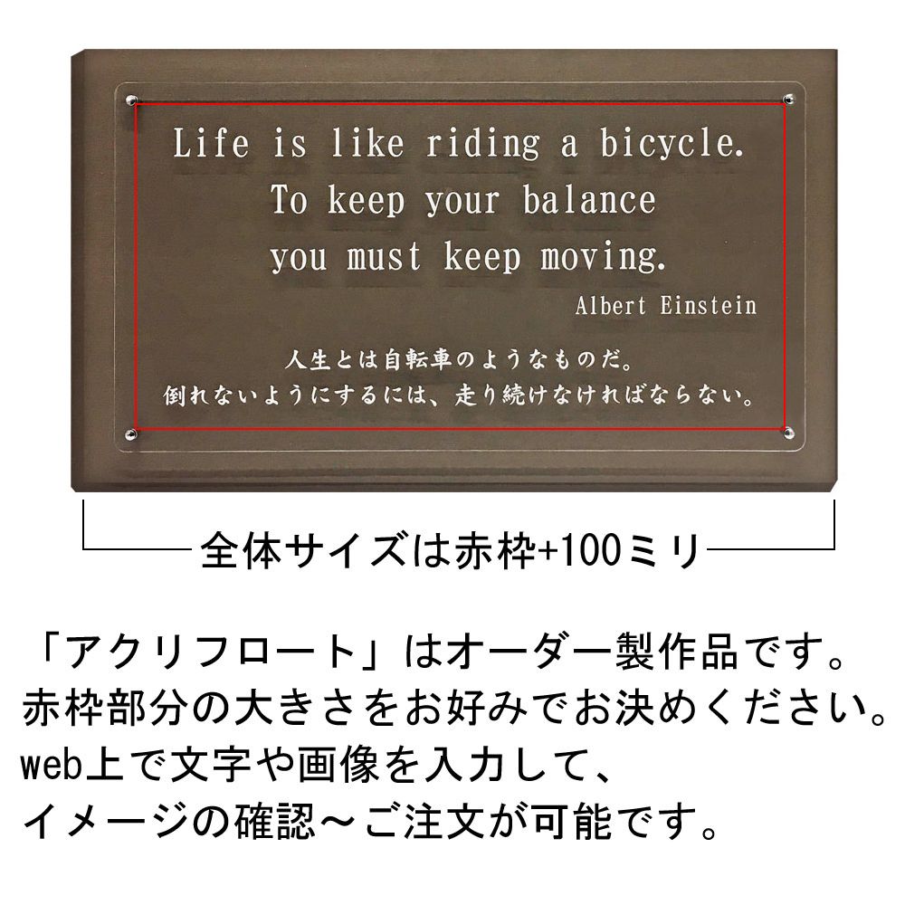 詳細画像5 アクリフロート[P] フリー製作