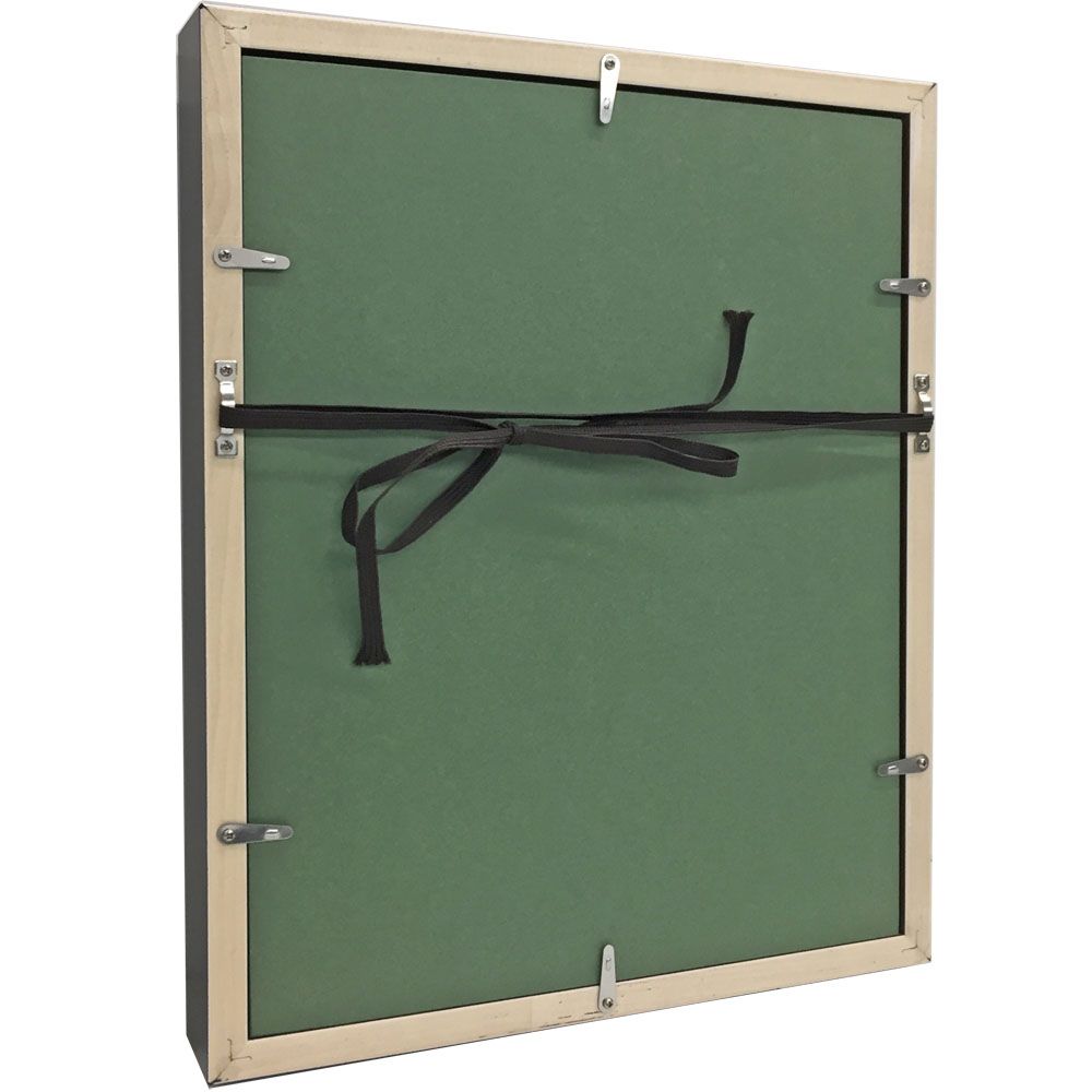 詳細画像9 勲章飾り額 GT24