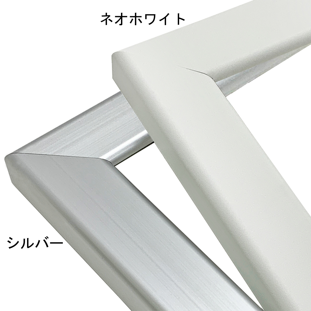 詳細画像3 一般額 CF