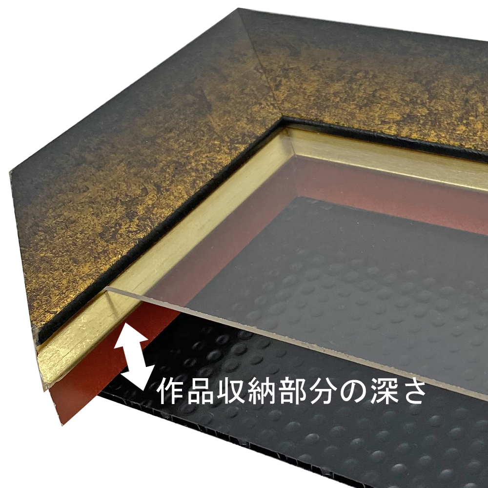 詳細画像6 自社油縁 ポンペイ・LT面金